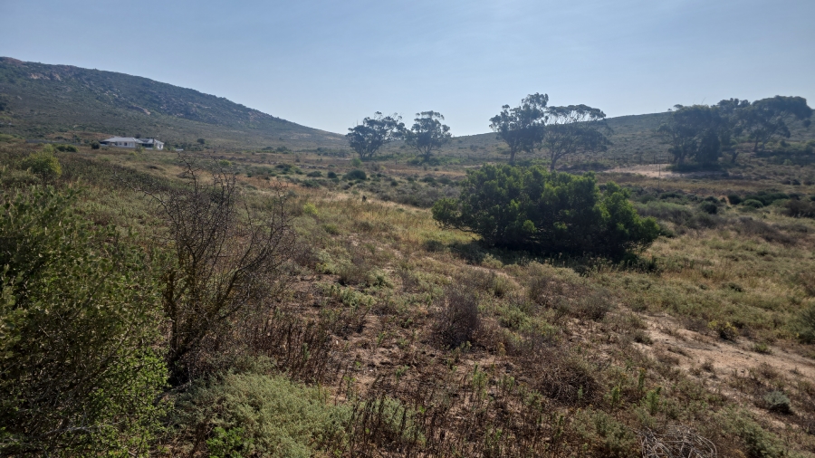 0 Bedroom Property for Sale in St Helena Views Western Cape
